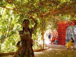 Turpan Grape Valley Girl 